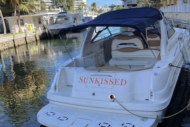 Sun-kissed 45ft Sea Ray Yacht swim platform with easy access to the water