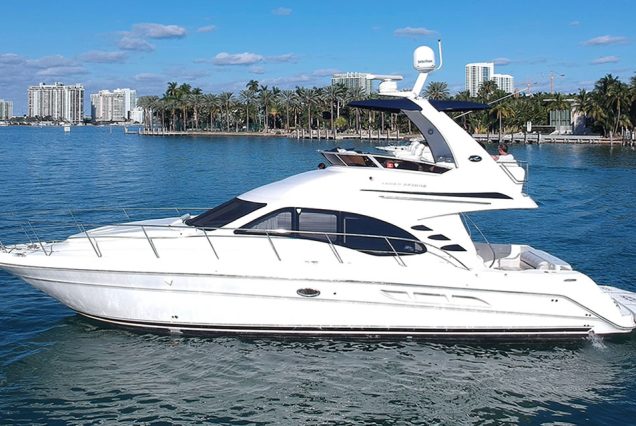 Modern 50ft White Ace Sea Ray Yacht stylish yacht available for charter in Miami