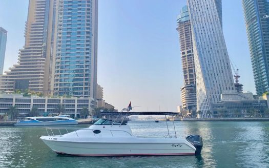 Gulf Craft 31FT