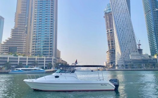 Gulf Craft 31ft Fishing Boat with Dubai skyline view