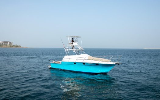 40ft Luxury Sports Fisher Yacht