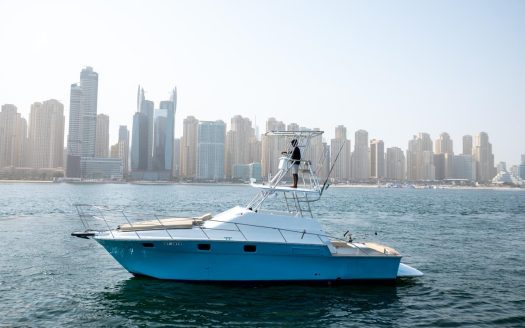 40ft Luxury Sports Fisher Yacht