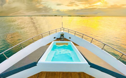 90ft Luxury with Jacuzzi