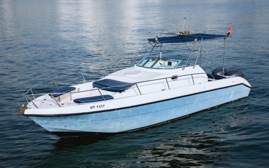 35ft Topten Blue Boat