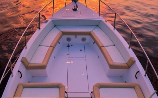 36ft Speedboat Silver Craft